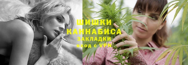 молекула духа Надым