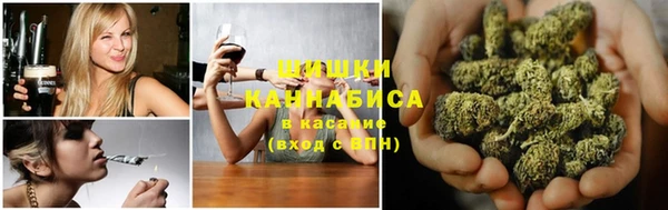 молекула духа Надым
