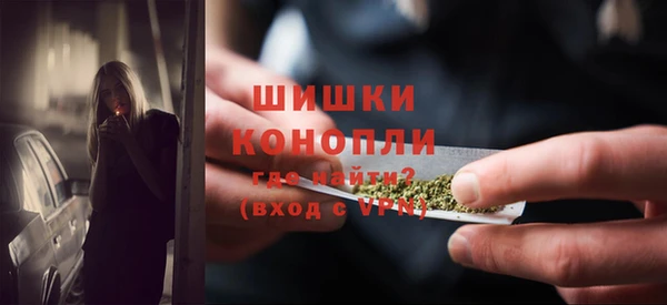 молекула духа Надым