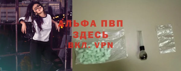 молекула духа Надым