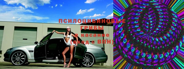 молекула духа Надым
