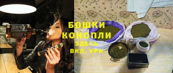 молекула духа Надым